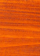 TRATAMIENTO EXTERIOR CEDRO