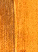 TRATAMIENTO EXTERIOR TEKA