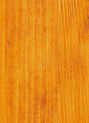 TRATAMIENTO EXTERIOR TEKA